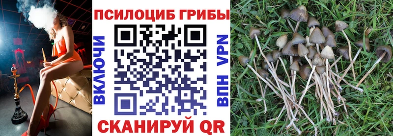 Галлюциногенные грибы прущие грибы  Дзержинский 